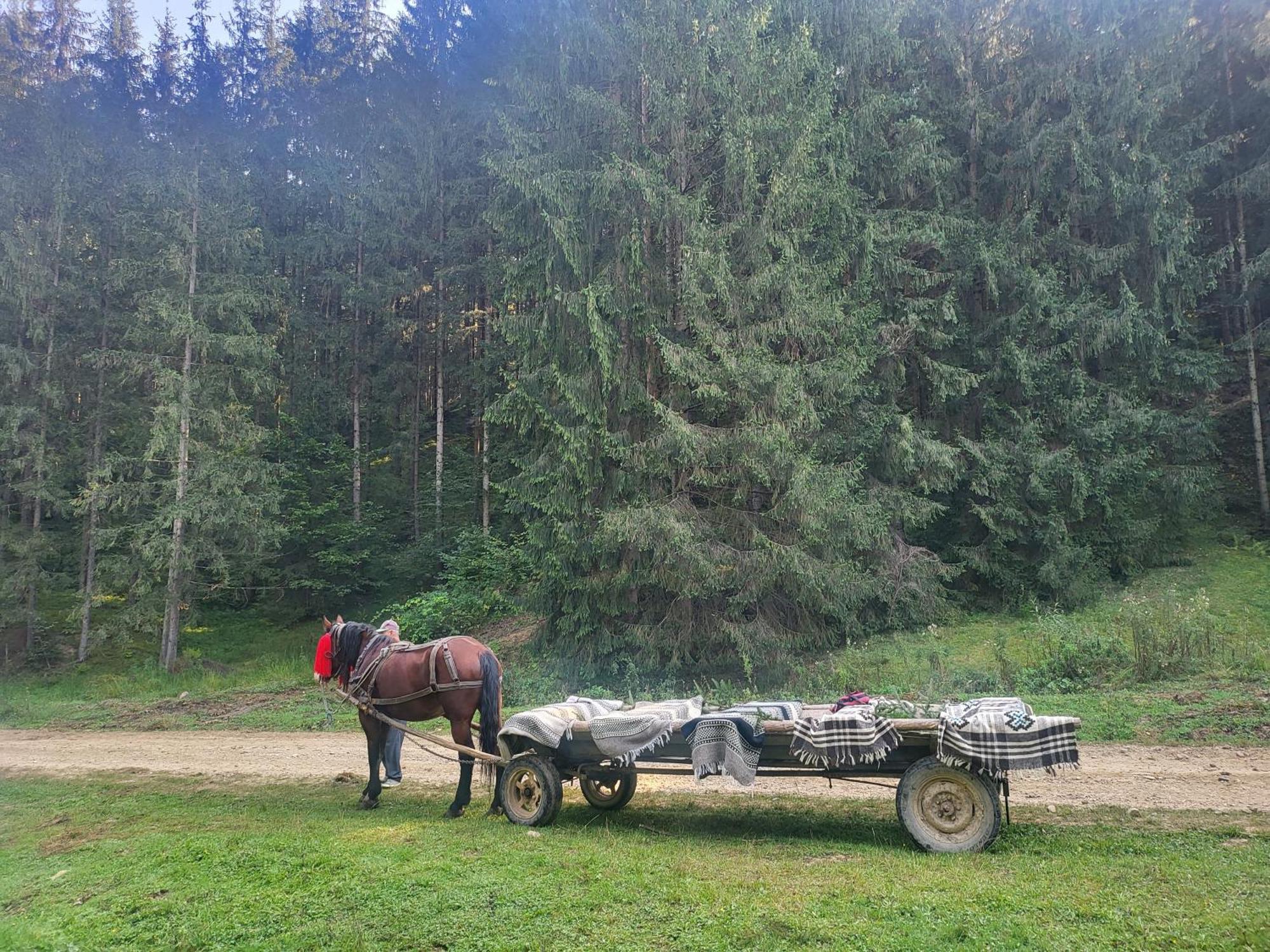 Soimii Bucovinei Residence Vatra Moldoviţei Exteriér fotografie